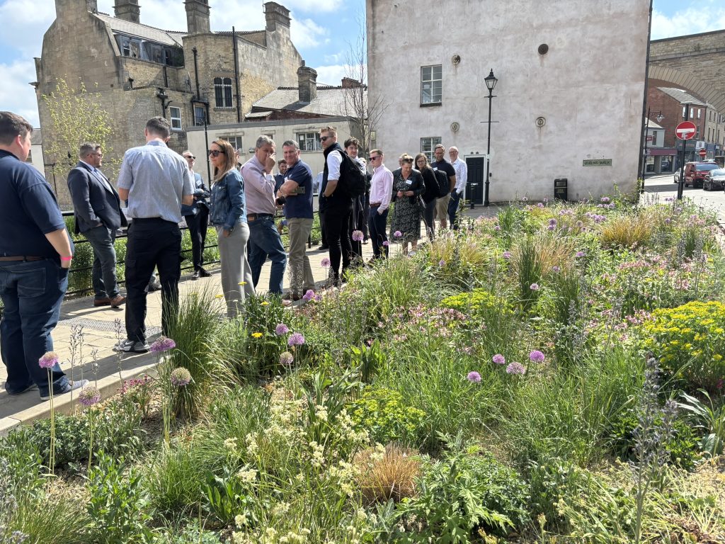 A group of SuDS professionals looking at some SuDS in Mansfield