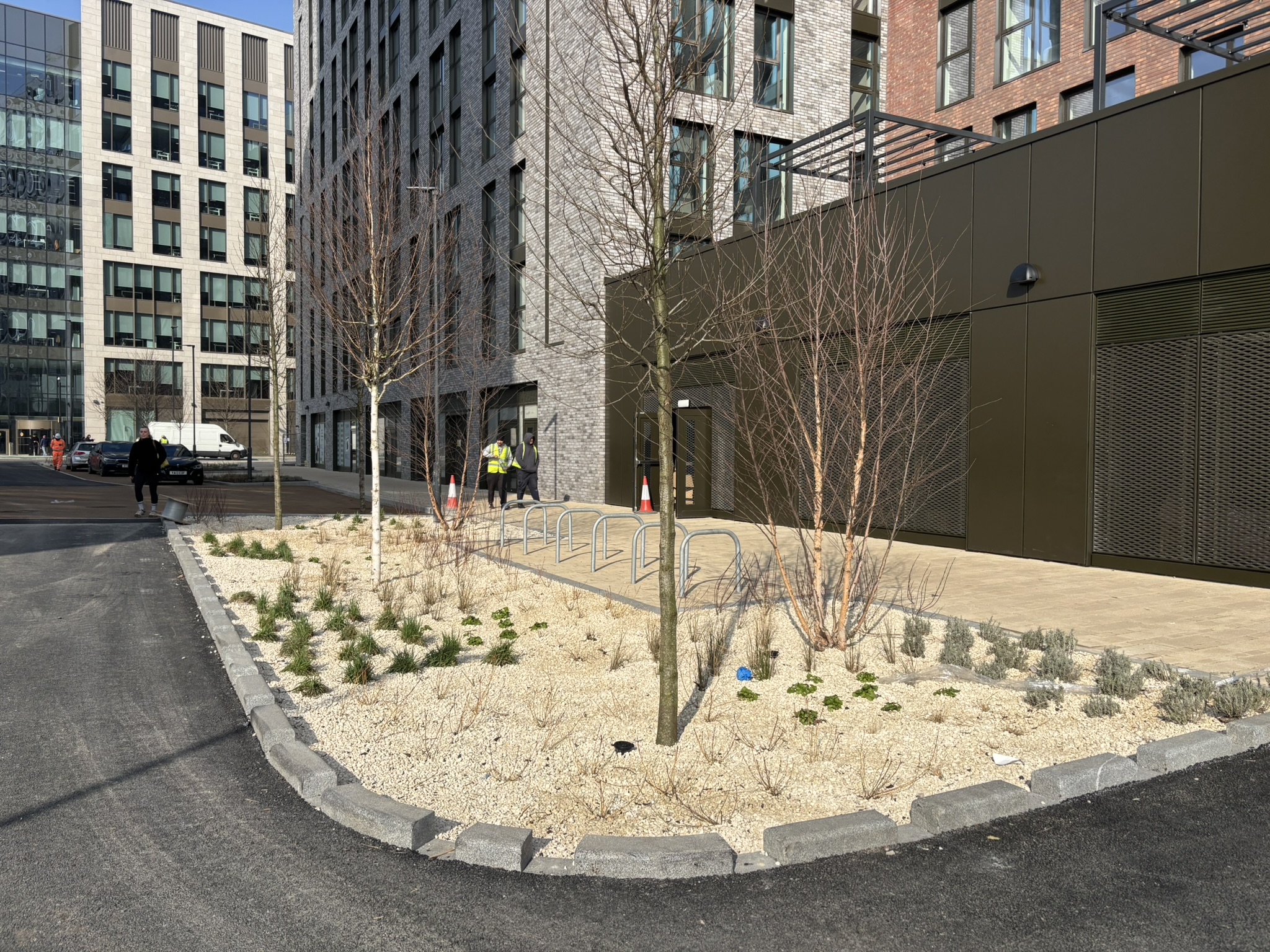 New raingarden in Leeds