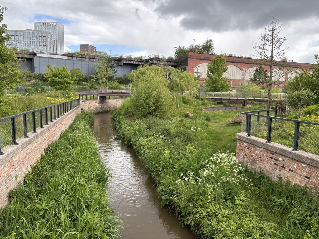 The River Medlock in Mayfield Park